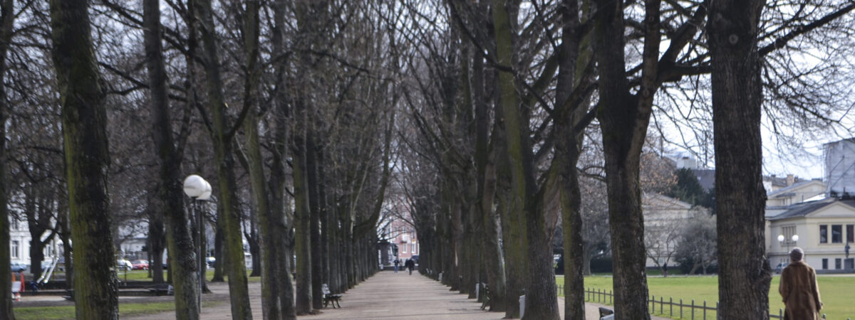 Trauergruppe für junge Erwachsene nach einem Suizid