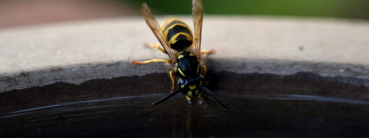 Lebendig Bibel erzählen