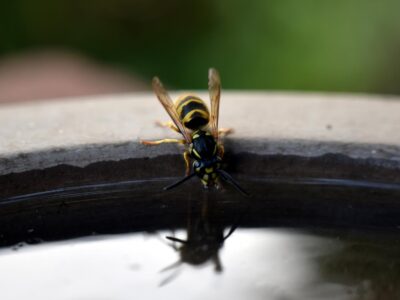 Lebendig Bibel erzählen