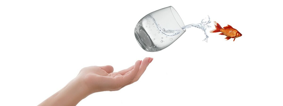 Haller Religionsgespräch: „Raus aus der Komfortzone“ – Kirche und Glauben neu erleben